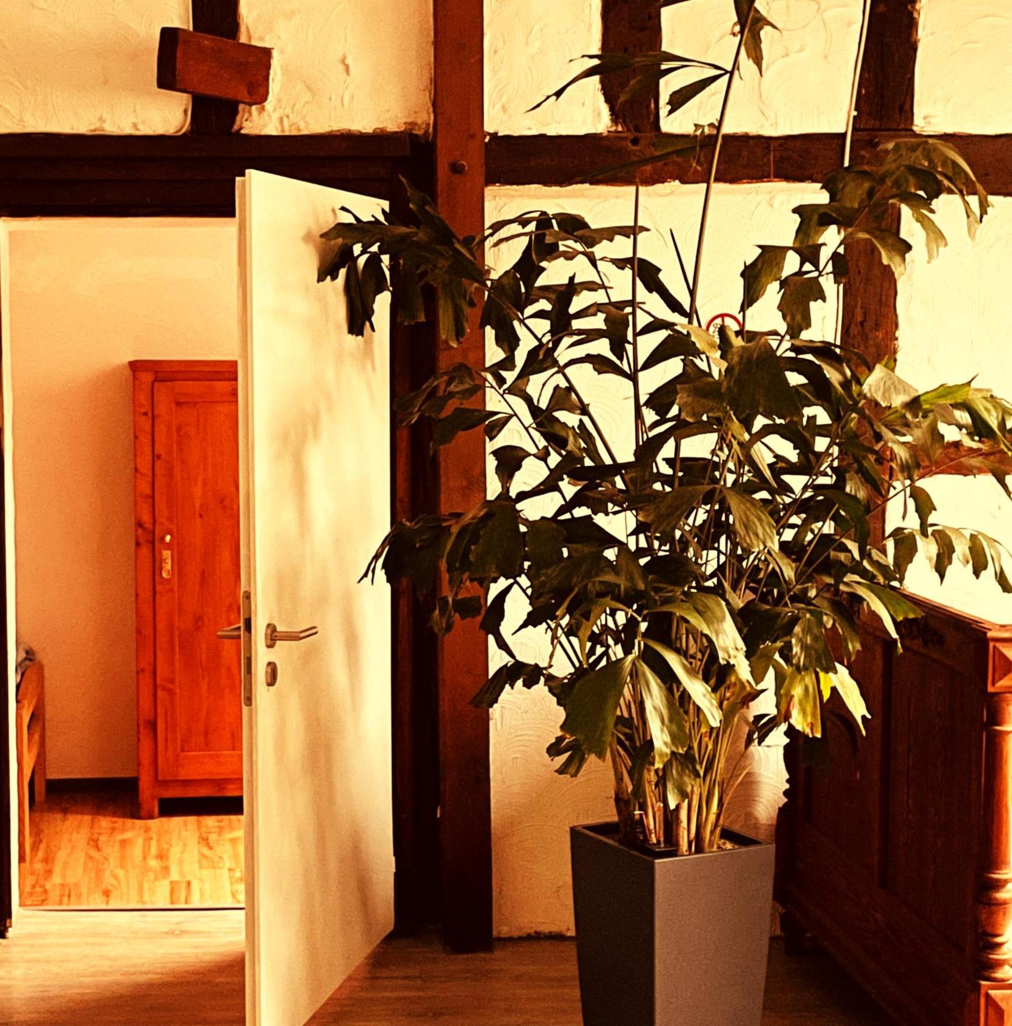 Cottage Huehnerstall Цюлпих Екстериор снимка